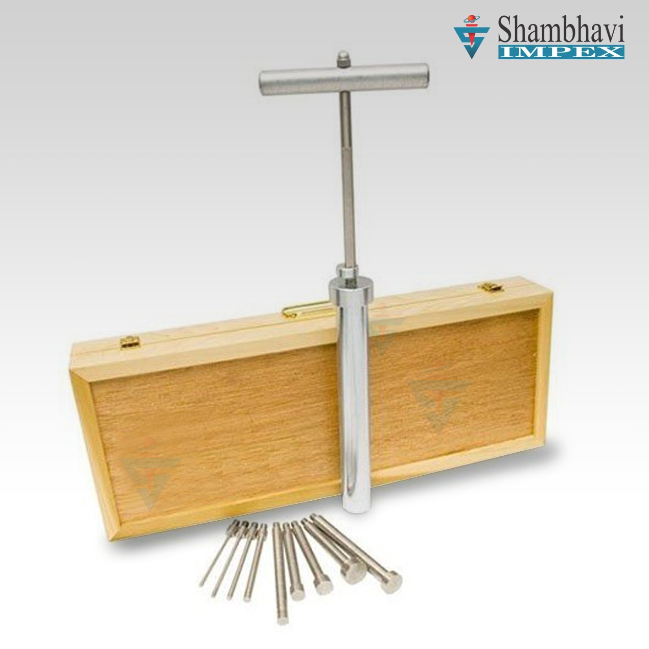 Proctor Needles ( Spring Type) - (SISSPN-01)